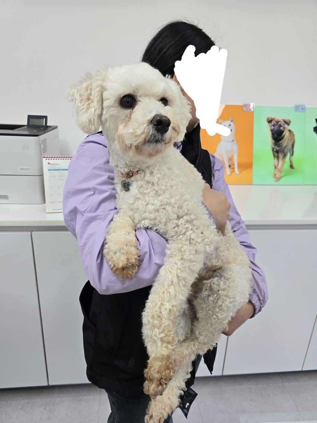 내품애센터_411312202500038